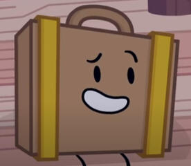 Suitcase (II 2) - Kin